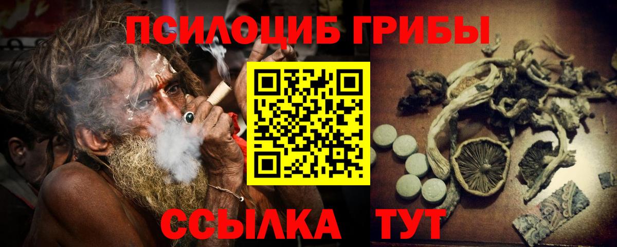 Псилоцибиновые грибы GOLDEN TEACHER  Вход с VPN  Северобайкальск  Псилоцибиновые грибы Psilocybine cubensis 